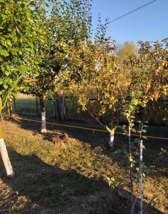 Teren intravilan 1800mp | Casa 2 camere