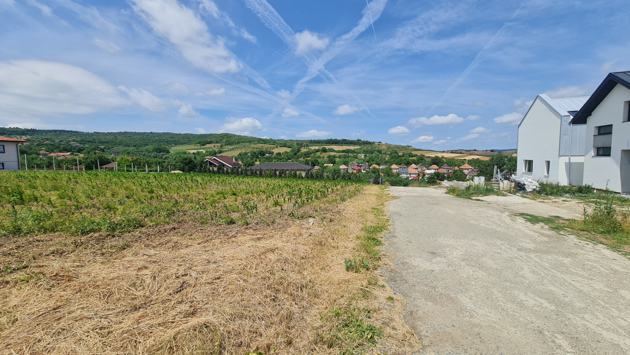 Teren Intravilan 1846 mp Casa | Duplex