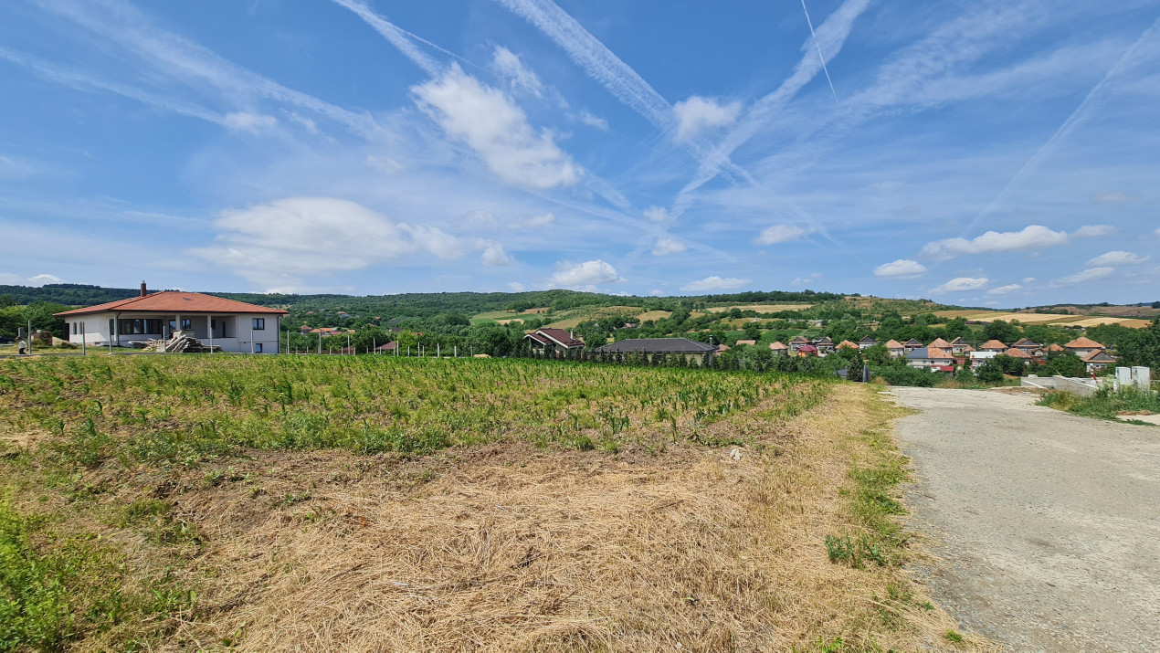 Teren Intravilan 1846 mp Casa | Duplex