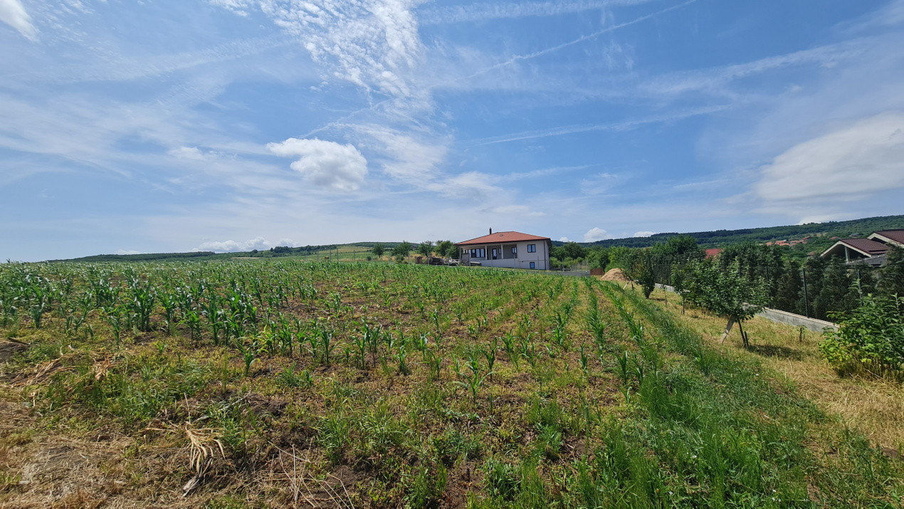 Teren Intravilan 1846 mp Casa | Duplex