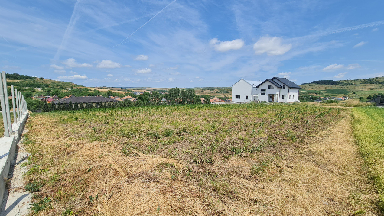 Teren Intravilan 1846 mp Casa | Duplex